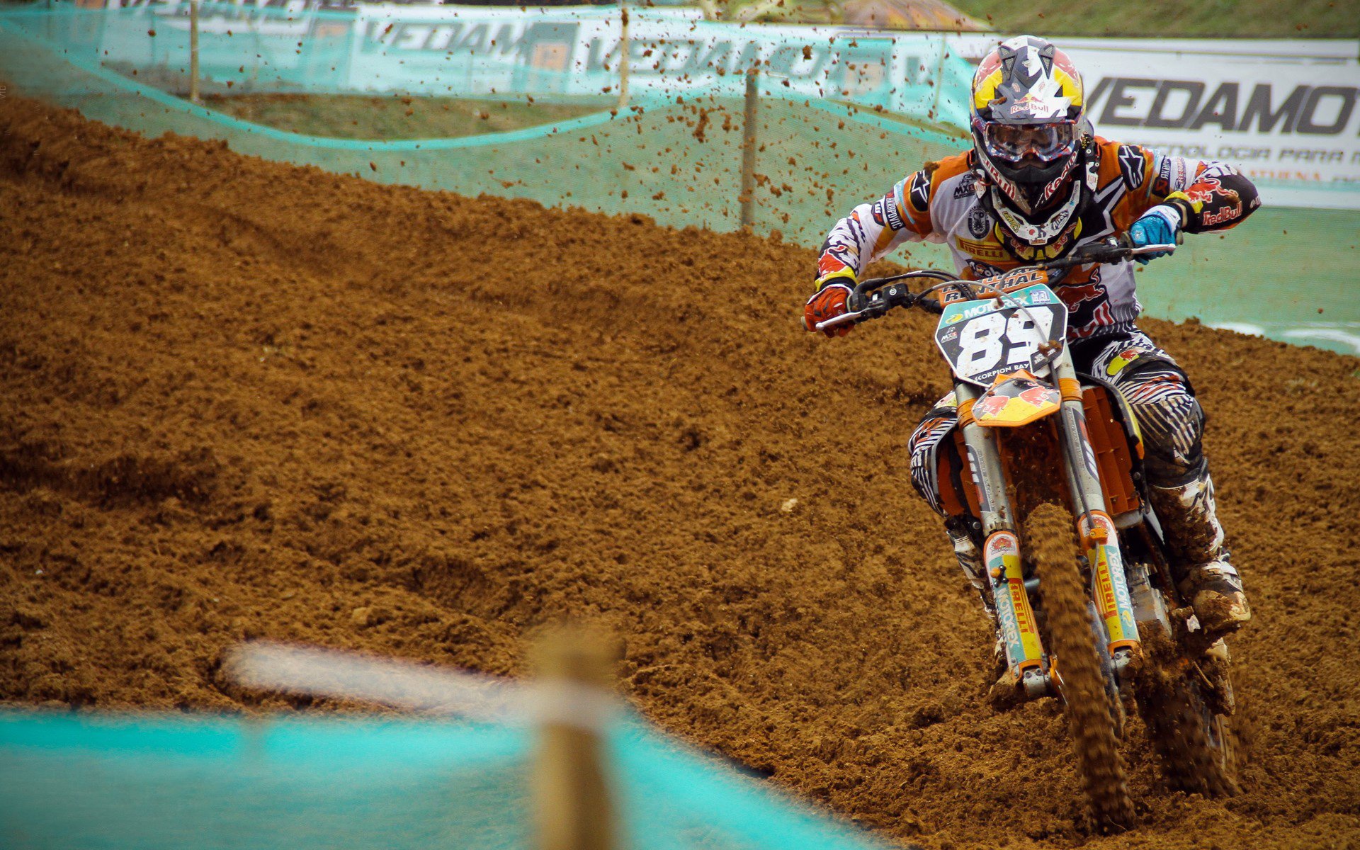 _猛龙斗志昂扬，逆转战局获胜_，猛龙作战